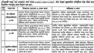 Palli Mangal Karmasuchi (PMK) Job Circular 2025