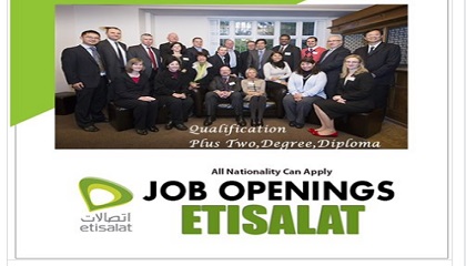 Etisalat (Government Sector)
