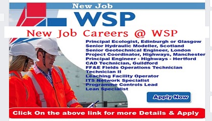 new job careers @ WSP