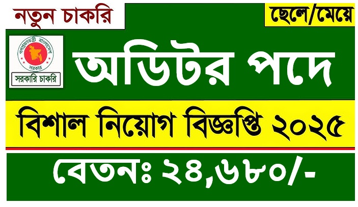 Auditor jobs circular 2025