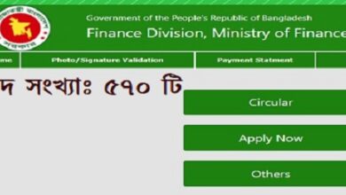 Career at Ministry of Finance
