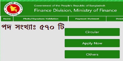 Career at Ministry of Finance