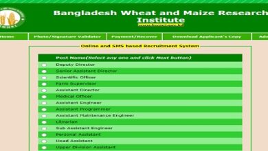 Bangladesh Wheat and Maize Research Institute (BWMRI) Job Circular