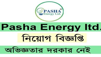 Pasha Energy ltd.