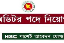 Auditor All Jobs Circular