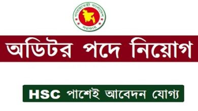 Auditor All Jobs Circular