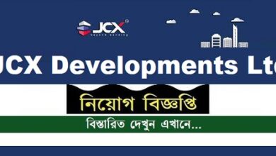 JCX Developments Ltd