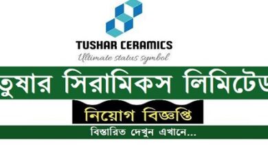 Tushar Ceramics Limited