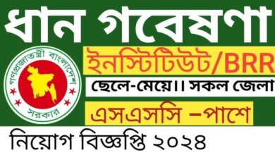 Bangladesh Rice Research Institute Job Circular 2024