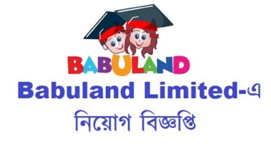 Babuland Limited