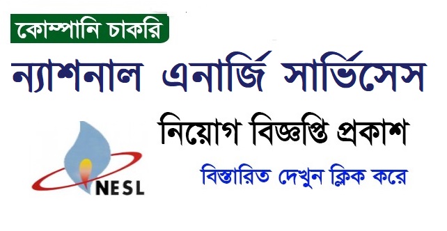 National Energy Services Limited Job Circular 2022 | Jobs Holders