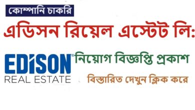 Edison Real Estate Limited