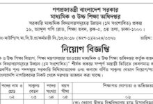 Directorate of Secondary and Higher Education Job Circular