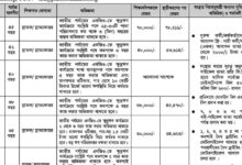 Pidim Foundation New Job Circular