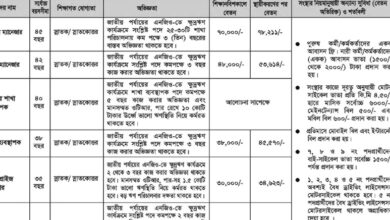 Pidim Foundation New Job Circular