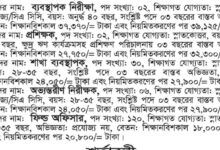 SETU Job Circular 2025