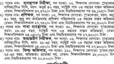 SETU Job Circular 2025